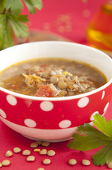 Traditional Bulgarian Lentil Soup
