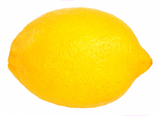 lemon on a white background