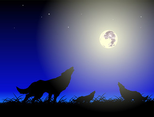 Wolfs and moon
