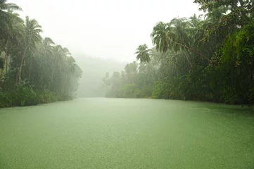 Foto auf Acrylglas Tropical rain above river © haveseen