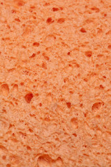 Orange Sponge Texture