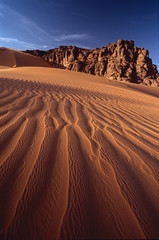 Sahara algerino