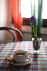 Morning with tee and biscuit