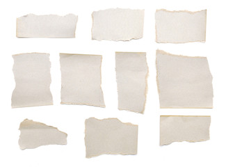 collection of grey ripped pieces of paper