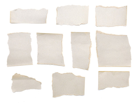collection of grey ripped pieces of paper