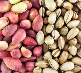 Fresh pistachios