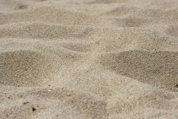 Dunes on the beach