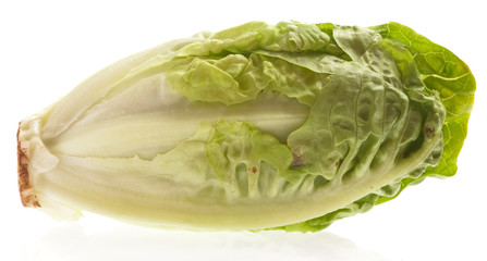 lettuce