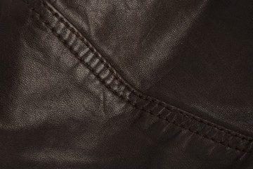 Naklejka premium zipper
