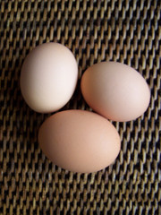 eggs