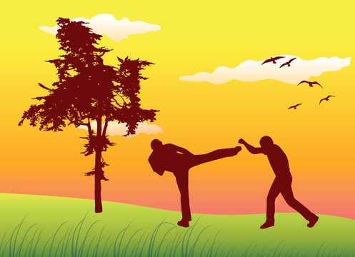 silhouette of two man making kickboxing exercises on summer fiel