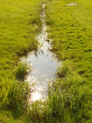 Ditch with water