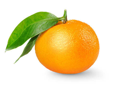 Isolated tangerine. One tangerine or mandarin orange fruit with leaf isolated on white background