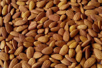 Almond Seed background