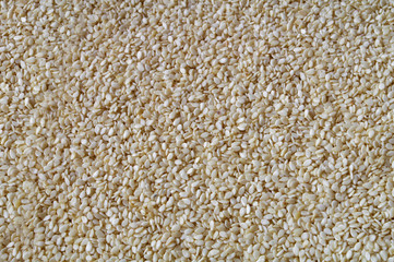 Sesame Seed background