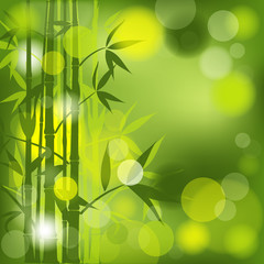 Fototapeta na wymiar Bamboo abstract background, vector