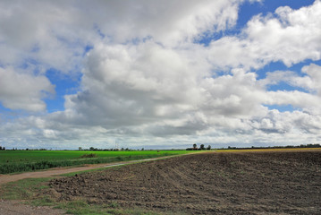 Italy Padana plain near Ravenna