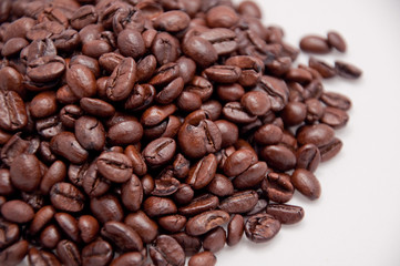 Obraz premium Elexir des Lebens