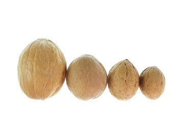 Walnuts