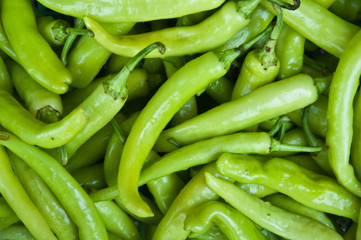 green Paprika
