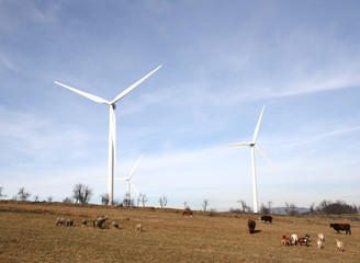 Landscape with windmills