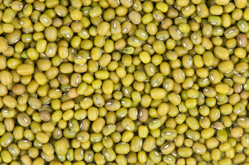 Mung Beans