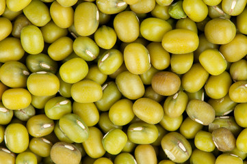 mung beans background