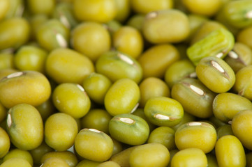 mung beans background