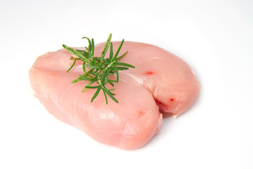 petto di pollo