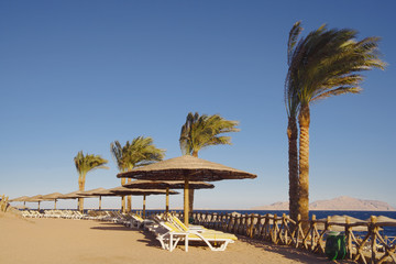 Beach in egypt hotel