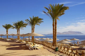 Photo sur Plexiglas Egypte Egyptian  beach