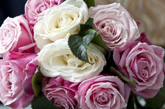 Clouse-up of white roses and pink mottled