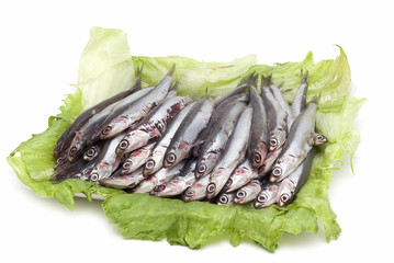 Bandeja de anchoas frescas.