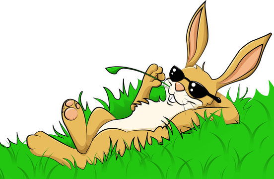 relaxing rabbit