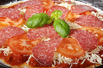 Salami Pizza roh Nahaufnahme