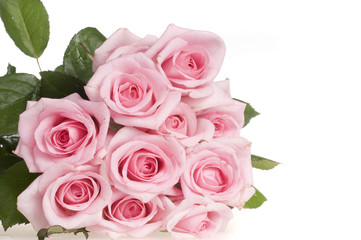 Holiday card with beautiful flowers