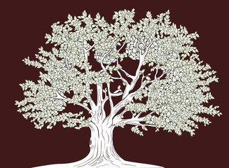 Graphical illustration of old tree