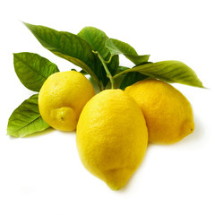 limoni su fondo bianco