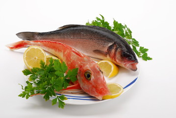 pesce 4