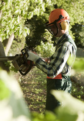 Master gardener is working in a garden.