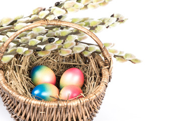 Basket with easter eggs and spring flowers