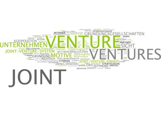Joint Venture