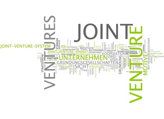 Joint Venture