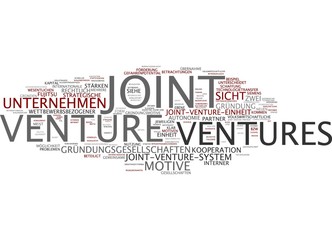 Joint Venture