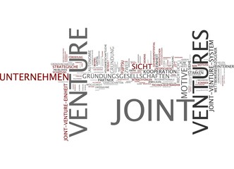 Joint Venture