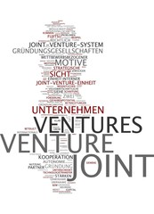 Joint Venture