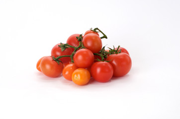 Tomato branch