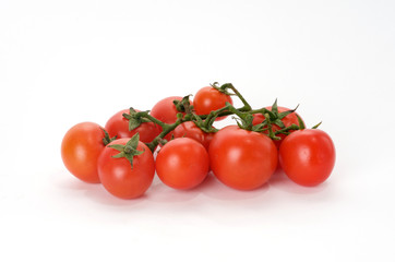 Tomato branch