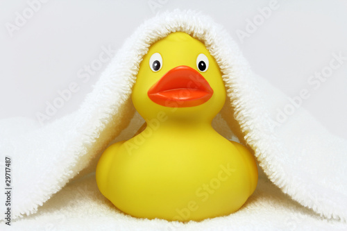 "badeente unter badetuch" Stockfotos und lizenzfreie Bilder auf Fotolia