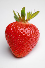 Fresh Strawberry
